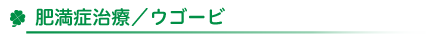 肥満症治療／ウゴービ